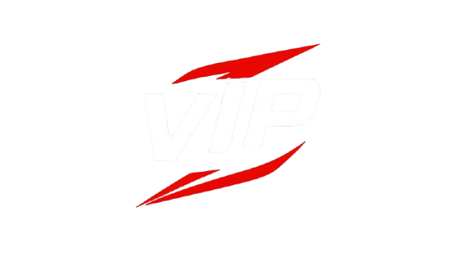 VIP Garage Logo
